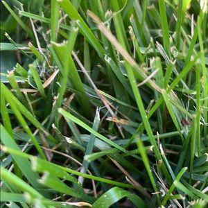 Meet your Posher, Eva